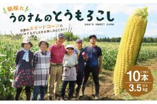 【卯野農場】産地直送！生でも美味しい 朝採れ スイートコーン 10本 3.5kg以上 とうもろこし コーン 【2025年7月上旬-8月下旬発送予定】