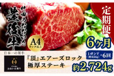 【定期便6回】日本一の和牛 おおいた豊後牛 1ポンド エアーズロック 極厚ステーキ 約454g×6回 計6ポンド （約2724g）