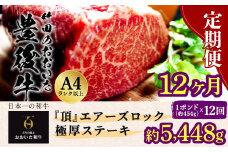 【定期便12回】日本一の和牛 おおいた豊後牛 1ポンド エアーズロック 極厚ステーキ 約454g×12回 計12ポンド （約5448g）