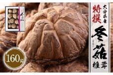 大分県産 特選どんこ 160g （乾しいたけ） FT15