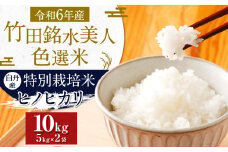 令和6年産 竹田銘水美人色選米 10kg 【白丹産：特別栽培米ヒノヒカリ】5kg×2袋【2024年11月上旬～順次発送予定】