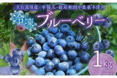 久住高原 冷凍 ブルーベリー 500g 2袋 計1kg 【2025年7月下旬より順次発送開始予定】