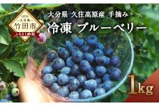 大分県久住高原産 『手摘みブルーベリー』 冷凍ブルーベリー 1kg 【2025年7月下旬より順次発送開始予定】