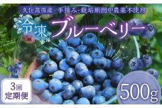 【3回 定期便】久住高原 冷凍 ブルーベリー 500g 計1.5kg 栽培期間中農薬不使用 手摘み  【2025年7月下旬より順次発送開始予定】