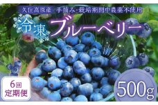 【6回 定期便】久住高原 冷凍 ブルーベリー 500g 計3kg 栽培期間中農薬不使用 手摘み 【2025年7月下旬より順次発送開始予定】