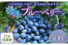 【12回 定期便】久住高原 冷凍 ブルーベリー 500g 計6kg 栽培期間中農薬不使用 手摘み 【2025年7月下旬より順次発送開始予定】