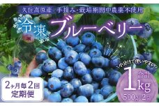【2ヶ月毎2回 定期便】久住高原 手摘みブルーベリー 冷凍 500g 2袋 計2kg 小分け 栽培期間中農薬不使用 【2025年7月下旬より順次発送開始予定】
