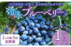 【2ヶ月毎3回 定期便】久住高原 手摘みブルーベリー 冷凍 500g 2袋 計3kg 小分け 栽培期間中農薬不使用 【2025年7月下旬より順次発送開始予定】