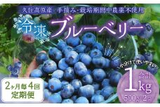 【2ヶ月毎4回 定期便】久住高原 手摘みブルーベリー 冷凍 500g 2袋 計4kg 小分け 栽培期間中農薬不使用 【2025年7月下旬より順次発送開始予定】