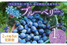【2ヶ月毎6回 定期便】久住高原 手摘みブルーベリー 冷凍 500g 2袋 計6kg 小分け 栽培期間中農薬不使用 【2025年7月下旬より順次発送開始予定】