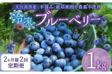 【2ヶ月毎2回 定期便】大分県久住高原産 『手摘みブルーベリー』 冷凍ブルーベリー 1kg 計2kg 【2025年7月下旬より順次発送開始予定】