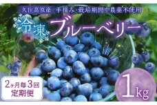 【2ヶ月毎3回 定期便】大分県久住高原産 『手摘みブルーベリー』 冷凍ブルーベリー 1kg 計3kg 【2025年7月下旬より順次発送開始予定】
