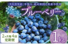 【2ヶ月毎4回 定期便】大分県久住高原産 『手摘みブルーベリー』 冷凍ブルーベリー 1kg 計4kg 【2025年7月下旬より順次発送開始予定】