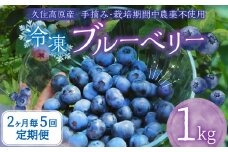 【2ヶ月毎5回定期便】大分県久住高原産 『手摘みブルーベリー』 冷凍ブルーベリー 1kg 計5kg 【2025年7月下旬より順次発送開始予定】