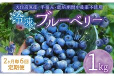 【2ヶ月毎6回定期便】大分県久住高原産 『手摘みブルーベリー』 冷凍ブルーベリー 1kg 計6kg 【2025年7月下旬より順次発送開始予定】