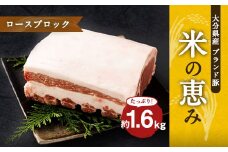 大分県産ブランド豚 奥豊後豚（米の恵み） ロースブロック 1.6kg (1.6kg×1) 豚肉