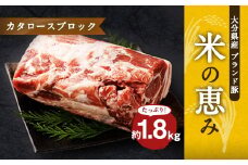大分県産ブランド豚 奥豊後豚（米の恵み） カタロースブロック 1.8kg (1.8kg×1) 豚肉 肩ロース