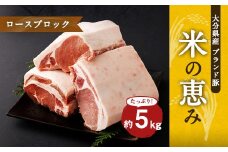 大分県産ブランド豚 奥豊後豚（米の恵み） ロースブロック 5kg (2.5kg×2) 豚ロース 豚肉