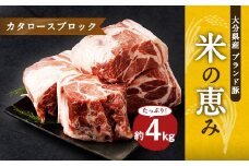 大分県産ブランド豚 奥豊後豚（米の恵み） カタロースブロック 4kg (2.0kg×2) 豚肉 肩ロース