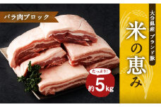 大分県産ブランド豚 奥豊後豚（米の恵み） バラ肉ブロック 5kg (2.5kg×2) 豚バラ 豚肉
