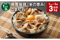 【1ヶ月毎3回定期便】奥豊後豚（米の恵み） こま切れ 合計約3kg 約500g×2パック×3回 肉 お肉 豚肉