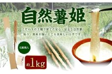 自然薯姫 （青果） 約1kg 【発送不可期間:毎年4月下旬-11月上旬】