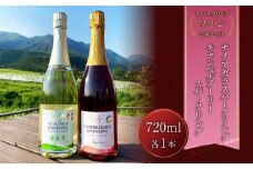 久住ワイナリーのスパークリングワイン 2本セット 720ml×2本 ワイン お酒 アルコール 赤ワイン 白ワイン