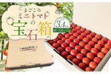 まごころミニトマトの宝石箱 1.7kg(約80～110玉)×2箱 計3.4kg サンチェリーピュア トマト【2025年7月上旬から11月下旬まで発送予定】
