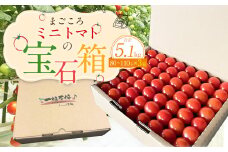 まごころ ミニトマト の宝石箱 1.7kg(約80～110玉)×3箱 計5.1kg サンチェリーピュア トマト【2025年7月上旬から11月下旬まで発送予定】