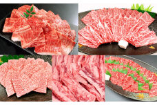 【5ヶ月定期便】毎月届く焼肉セット！おおいた和牛焼肉セット 計約4.2kg