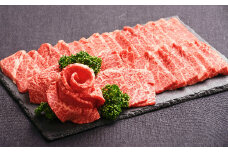 おおいた和牛 焼肉 にピッタリ！ 牛肉 の 食べ比べ セットA（ 上カルビ & 上ロース）（合計約 600g ）3～4人前