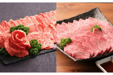 おおいた和牛 食べ比べ セット B（ 上カルビ & 上ロース ）（合計約 400g ）2～3人前 