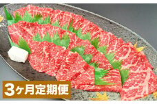 【3カ月定期便】 おおいた和牛 赤身 焼肉 約400g 計約1.2kg