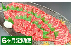 【6カ月定期便】 おおいた和牛 赤身 焼肉 約400g 計約2.4kg