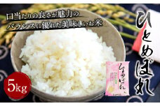 【令和7年産】大分県産 ひとめぼれ 5kg【2025年10月下旬発送開始予定】