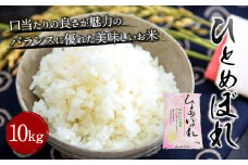 【令和7年産】大分県産 ひとめぼれ 10kg【2025年10月下旬発送開始予定】