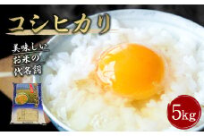 【令和7年産】大分県産 コシヒカリ 5kg【2025年10月下旬発送開始予定】