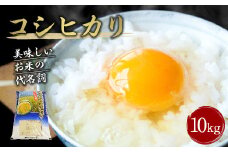 【令和7年産】大分県産 コシヒカリ 10kg【2025年10月下旬発送開始予定】