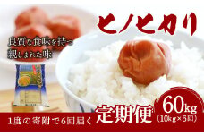 【6ヶ月定期便】大分県産 ヒノヒカリ 10kg×6回 計60kg【2025年11月下旬発送開始】
