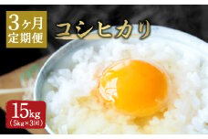 【3ヶ月定期便】大分県産 コシヒカリ 5kg×3回 計15kg【2025年10月下旬発送開始】