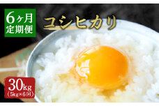 【6ヶ月定期便】大分県産 コシヒカリ 5kg×6回 計30kg【2025年10月下旬発送開始】