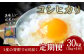 【6ヶ月定期便】大分県産 コシヒカリ 5kg×6回 計30kg