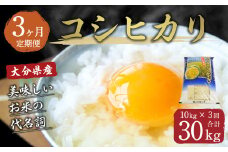 【3ヶ月定期便】大分県産 コシヒカリ 10kg×3回 計30kg【2025年10月下旬発送開始】