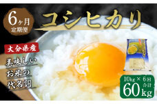 【6ヶ月定期便】大分県産 コシヒカリ 10kg×6回 計60kg【2025年10月下旬発送開始】