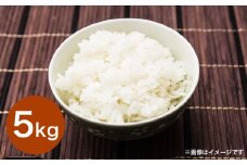 令和6年産大分県産米 精米5kg【2025年6月上旬より順次発送】