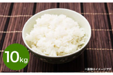令和6年産大分県産米 精米10kg【2025年6月上旬より順次発送】