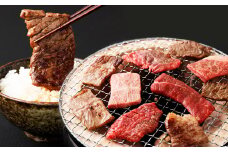 おおいた和牛 希少部位4種焼肉セット 約1.2kg（約800g・約400g 各1箱セット）
