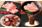 【2ヶ月定期便】おおいた和牛 希少部位4種焼肉セット 約1.2kg（約800g・約400g各1箱セット）×2回 計2.4kg