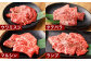 【2ヶ月定期便】おおいた和牛 希少部位4種焼肉セット 約1.6kg（約800g×2箱）×2回 計約3.2kg
