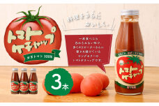 トマトケチャップ 3本セット 385g×3本 完熟トマト 大分県 竹田市